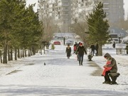 440 ���������� ������������� ���������������� �� ����� � ����������