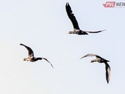 ������� ��� ������� ����� ����������� ������� ������������ �������