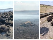 ������� � ����� �������� ������� � ����� � �������������� �������