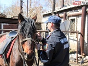 ���������� ����� ���������� ����������� � ������ ���� � ����������