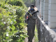 ��� � ��������� ����� ������� ���� 5 � 6 ����