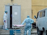 �� 16% ������� ���������� � ���������� - ������������