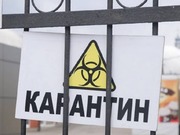 ��������� ������������ ������� �� ����������� ��������