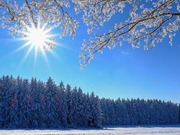 ����� ����� ������ ������� ������������ � ��������