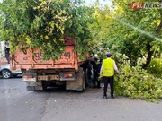 � ��������� �� ���������� ������ �������� ����������