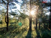 � ������������ ���� ���������� �� ������� �������� ��� ���������� �������� ���������