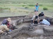 ������������ ������� �������� ���������� �����������