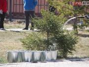 ������� �������: ��� ���������� ����� �������� ������� �� ����� ����������