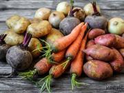 �������, �������!�: � ������������ ������� ���������� �����