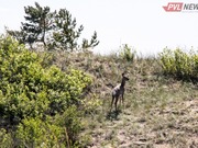 � ��������� ���� �� �������������� ��� ������� ��������� � �����