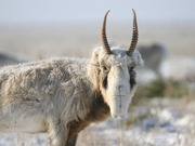 � ������������ ������� ������� ����� ���������� � ����� �������������� ������