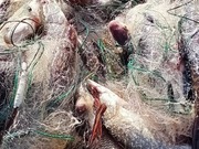 ����� 320 ����������� ���� ������ � ����������� �� ������ ������� � ������������ �������