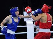 ������������ ������ ������� ������� ����������� ���������� ���� � ���������� �� ���������