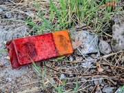 �� ������������ ������ � ������� ��� ����� ��������