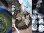 � ��� ��� ������������, ��� ���� � Telegram - ����������