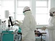 ����������� � ����������: ������������ ����� ������ �� �������������� � ��������