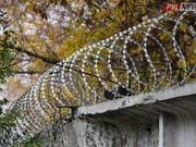 ����������� �� �������� � ���������� ���������� �� ��������� �������� ���� �� ������