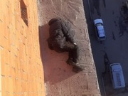 ������ ����������� ����� �� �������� ������� �������� ����� (�����)