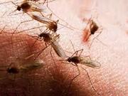 ����� ��������, ������� ����� ����� ��� ���������� ������ ������� � ���������