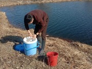 ������� ������� ������ ���� � ������ ����