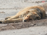 ���������� ���� ������ � ����� ��� ������