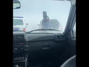 ���������� � ����� ������ ������ �������� �� ����� ������������ ���������