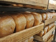 ���������� ���� �� 95 ����� ������ � �������� ���������