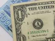 ���� ������� ���������� ������