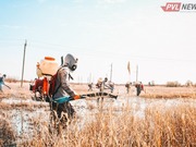 ������ ��������� ������ ������������ �� ������� �������