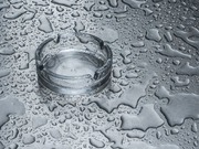 ��� ���� ������������� ����� �������� ������ �� �������� �������