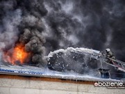 � ��� ����������, ��� �������� ����� �28 ���� ������ �����