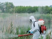 �� �������� ����� ���� ������ ������� ������������ ������� �� �����