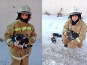 ����� �������� ������������� �������� �� ������� ��������