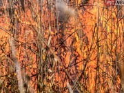 � ���� ������ ���������� ������� ������������� ������ � ������������ �������