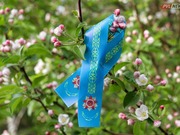 ��������� ������ ����� ������� ��������� � ���������