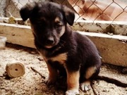 �������� � ������ ����� ������� � ���������