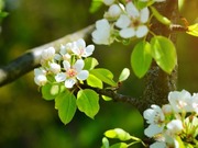 30-��������� ���� ������ � ���������