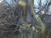 � ���������� ��������� ���������� ���� �������, ���������� ����� ��� �����