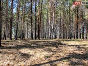 ������ ����� ������ ����� � ����������� ������������ �������