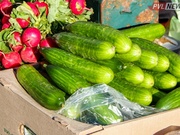 ������� ���������������� ������� 11 ���� � ���������