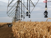 ����� � �������, ����� � �� �����: �������� ������ �������� ��������� � ������������ �������