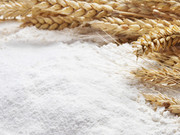 ��������� ����� �������� ����������� �� ������� ������� � ����