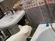 ������������ �������� �� �������� ������� ���� � ������