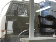 ������ 20 ���� ������� �������� ������� �� ������������ �������