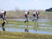 ����� �������� ��� ������ � �������� �������� � ���������