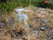 ���������� �����: �� ������ ��������� ������� ������� ����� � ���������