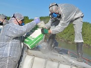 ������� �� �����: ��� ����� �������� ����������� �������� �� ������ � ������ � ���������