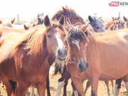 ����� ������� ����� �� ������������� ������ � ������������ �������