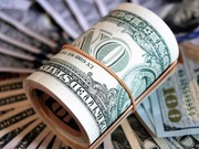 ���� ������� �������� �� ������