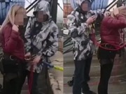 ����������� ������������ ������������� �������� � ���� � ���������